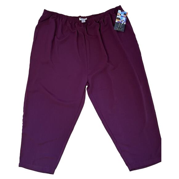 We Be Bop ~ NWT, EASY PANTS 5X, Plum, Side Pockets, Capri, Pull-on, Comfy - Picture 1 of 10